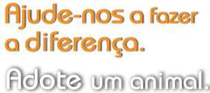 slogan adote um animal